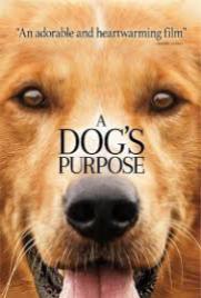 A Dogs Purpose 2017