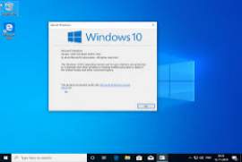 Windows 10 Professional (64-bit) v1909 - Untouched