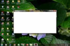 Adobe Flash Player