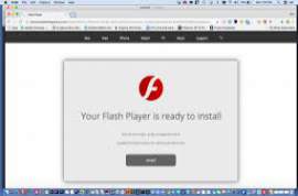 Adobe Flash Player