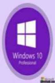 Windows 10 X86 10in1 2004 OEM en-US SEP 2020 {Gen2}