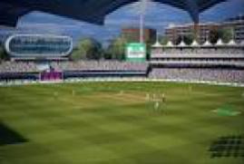 Cricket 19