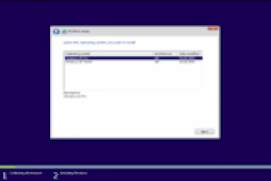 Microsoft Windows 10 Home and Pro x86 Clean ISO-143