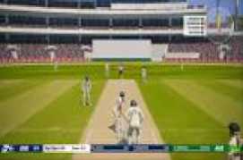 Cricket 19