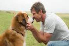A Dogs Purpose 2017