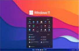 Windows 11 Pro 10.0.22000.376 Virtual Machine (VMware)